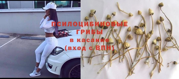 герыч Лагань