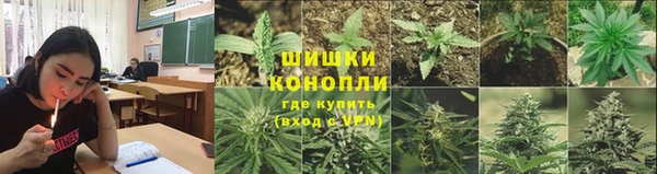 спайс Лабытнанги